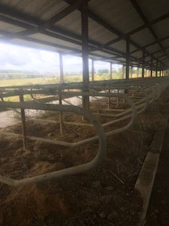 #DD2171 - Freudenthal MFG Free Stall Loops - FL - Image 3